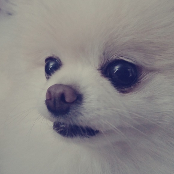 Meet your Posher, Mandi - Picture 6 of 8